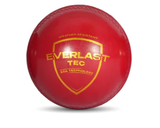 SG Everlast Tec Synthetic Cricket Ball (Red)