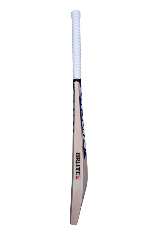 RNS Brute Kashmir Willow Cricket Bat