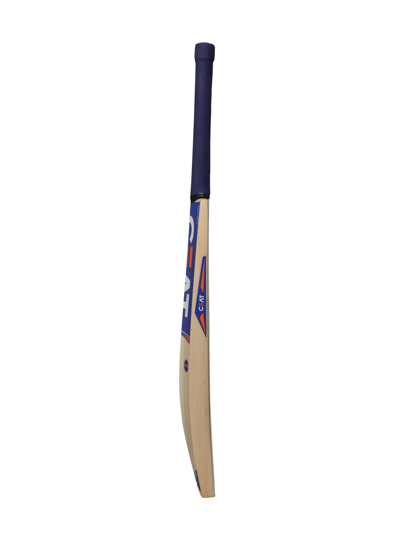 CEAT PRO R10 KASHMIR WILLOW BAT