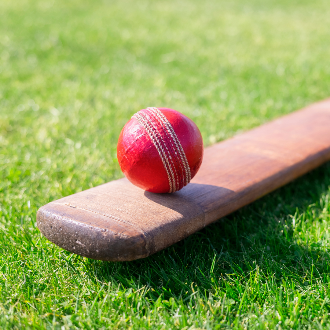 Cricket