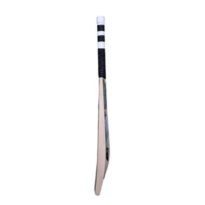 RNS LARSON Zigma Kashmir Willow Cricket Bat
