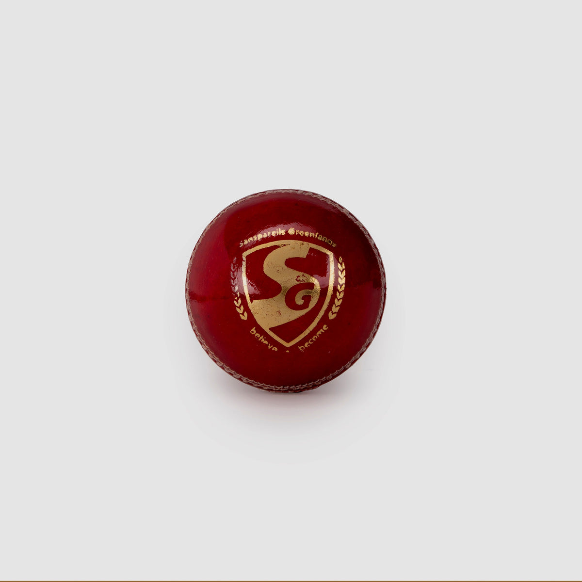 SG Shield 20 Red Leather Cricket Ball – Standard Size