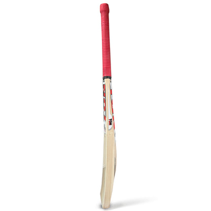 SS Ton Revolution Kashmir Willow Cricket Bat