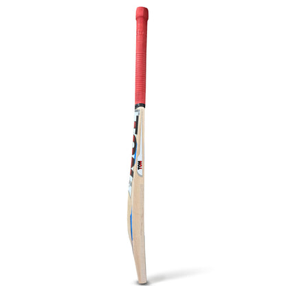 SS Ton Maximus Kashmir Willow Cricket Bat – Full Size SH