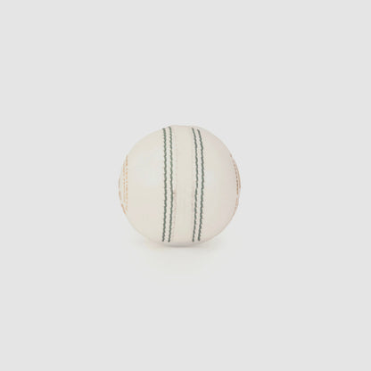 SG Super 50 White Leather Cricket Ball – Standard Size