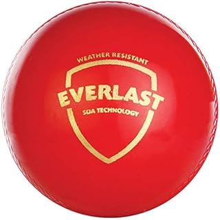 sg synthetic cricket ball