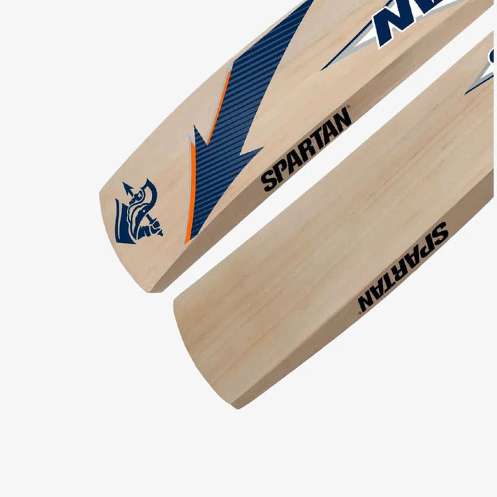 Spartan Sher Kashmir Willow Cricket Bat