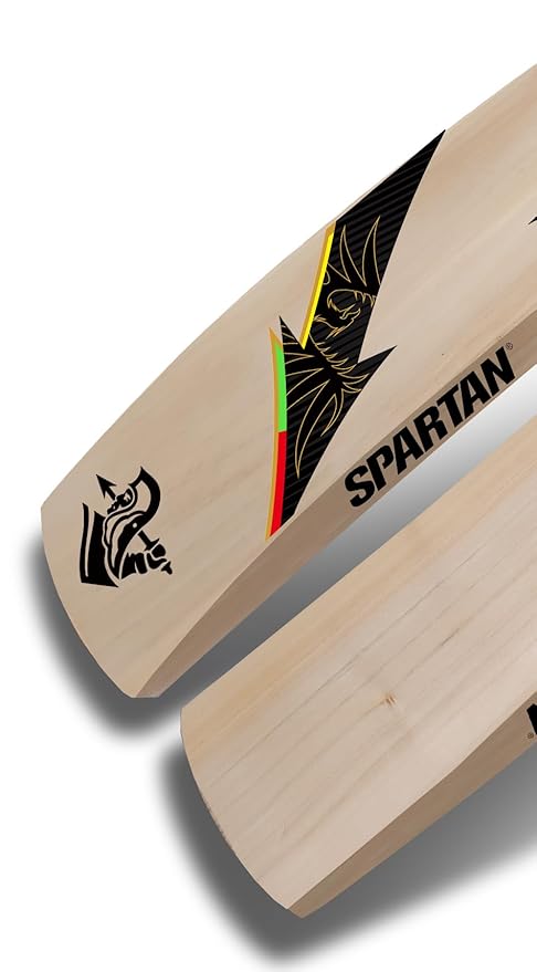 Spartan Chris Gayle RDX Kashmir Willow Cricket Bat