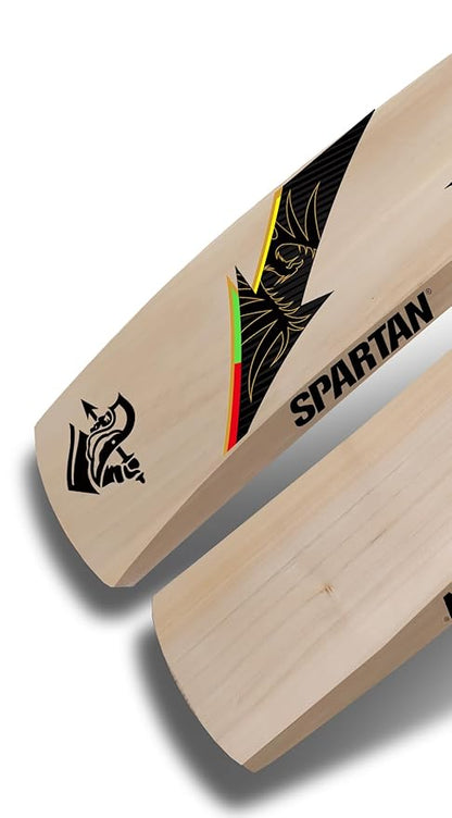 Spartan Chris Gayle RDX Kashmir Willow Cricket Bat