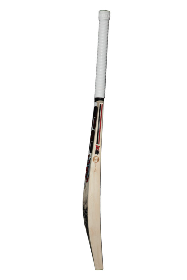 SS Devils bat (Red) Kashmir Willow Cricket Bat –SH