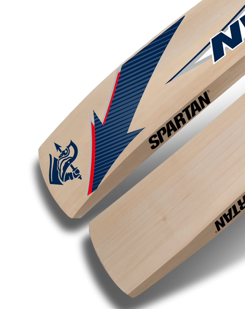 Spartan king bat kashmiri Willow