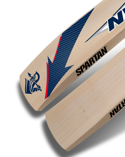 Spartan king bat kashmiri Willow