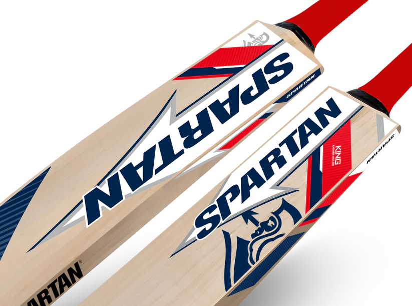 Spartan king bat kashmiri Willow