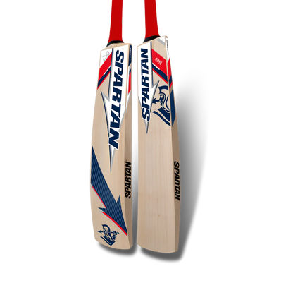 Spartan king bat kashmiri Willow