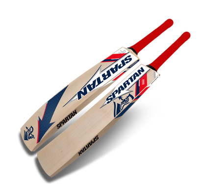 Spartan king bat kashmiri Willow