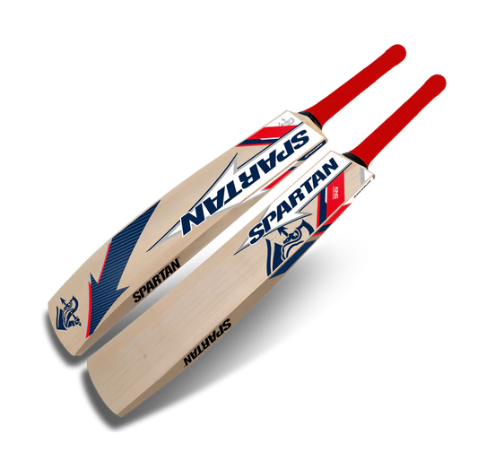 Spartan king bat kashmiri Willow