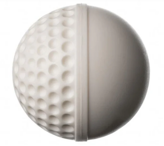 SG Swinga Cricket ball (White)