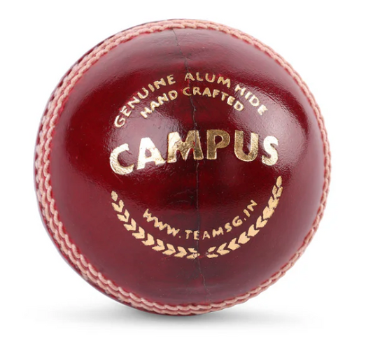 SG Campus Cricket Leather Ball