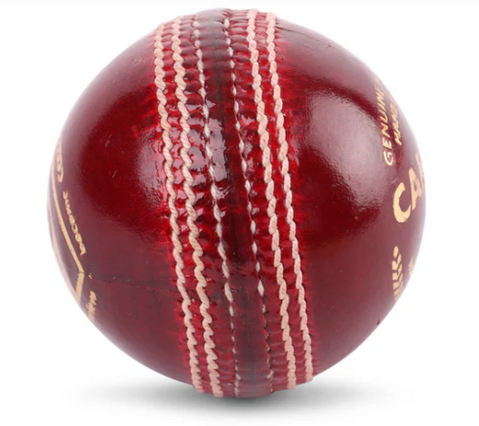 SG Campus Cricket Leather Ball
