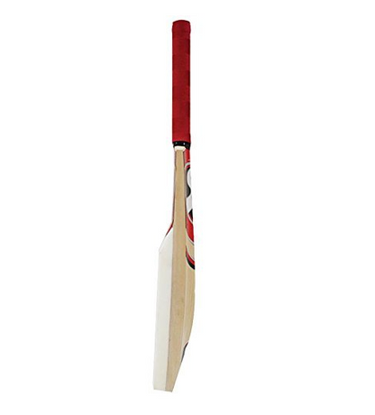 SG Catch Bat