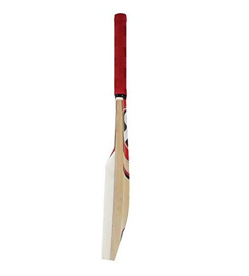 SG Catch Bat