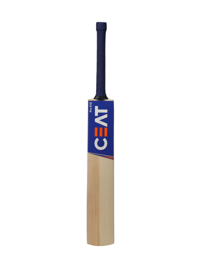 CEAT PRO R10 KASHMIR WILLOW BAT