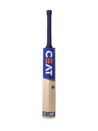 CEAT PRO R10 KASHMIR WILLOW BAT