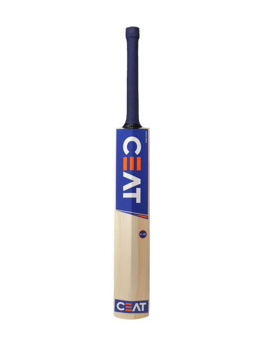 CEAT PRO R10 KASHMIR WILLOW BAT