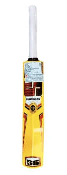 SS PLASTIC BAT