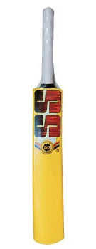 SS PLASTIC BAT