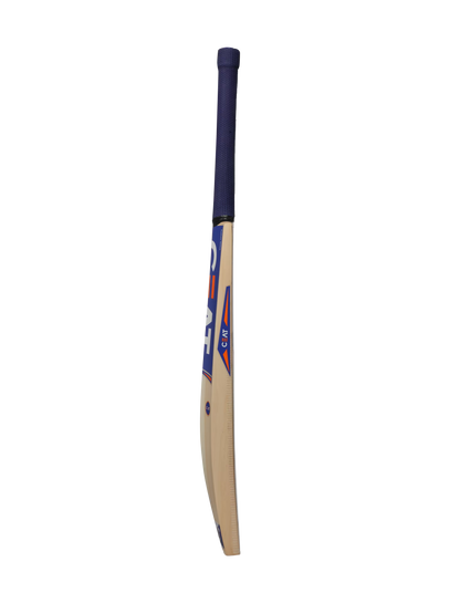 CEAT PRO R10 KASHMIR WILLOW BAT