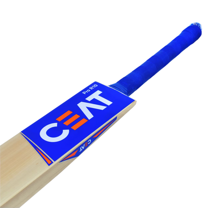CEAT PRO R10 KASHMIR WILLOW BAT