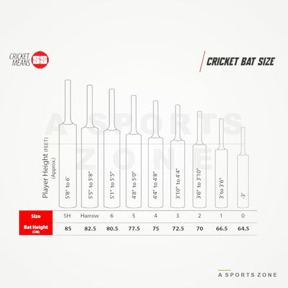 SS Extreme Kashmir Willow Cricket Bat - A Sports Zone