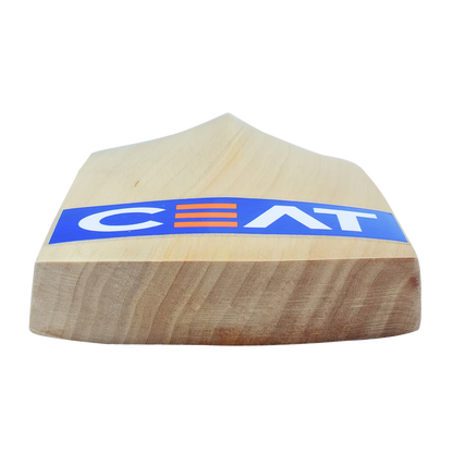 CEAT PRO R10 KASHMIR WILLOW BAT
