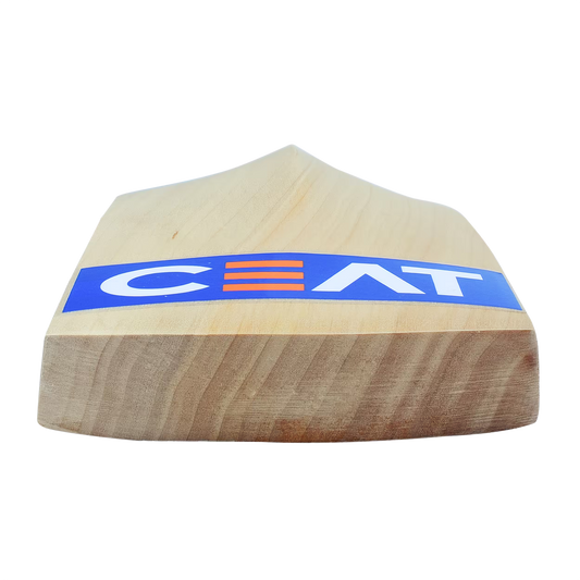 CEAT PRO R10 KASHMIR WILLOW BAT